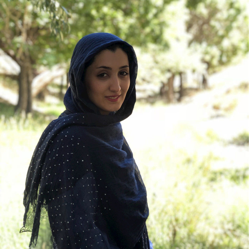 Sajedeh Saraeian